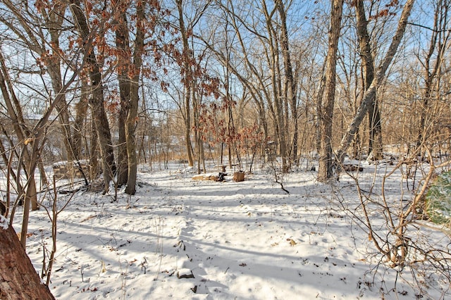 view of snowy yard