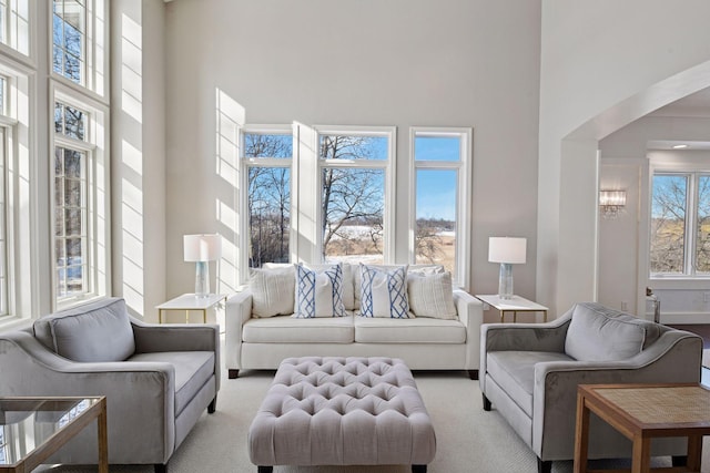 living room with a high ceiling and carpet flooring