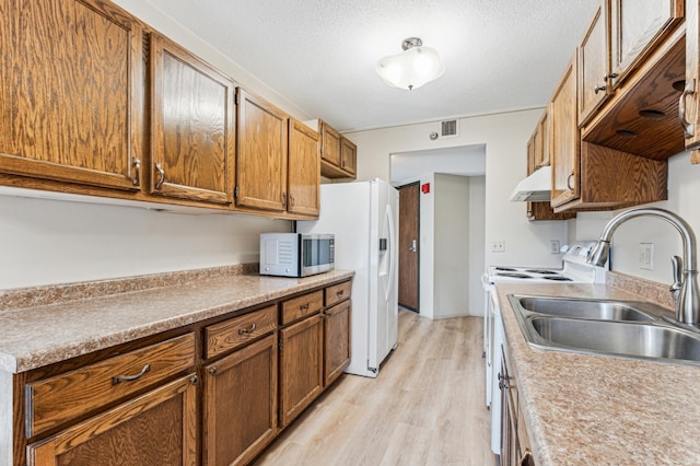 kitchen featuring range with electric cooktop, sink, light hardwood / wood-style floors, and a textured ceiling