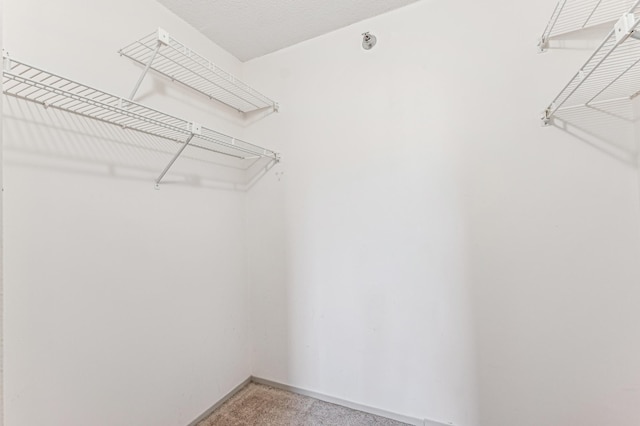 walk in closet featuring carpet floors