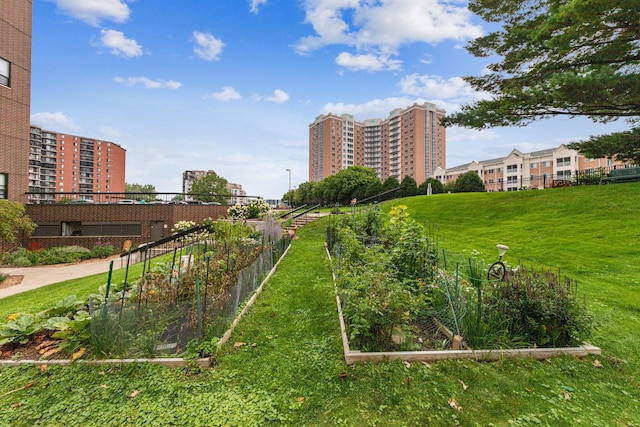 view of community with a yard