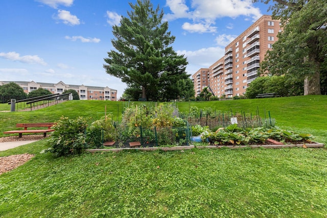 view of community with a yard