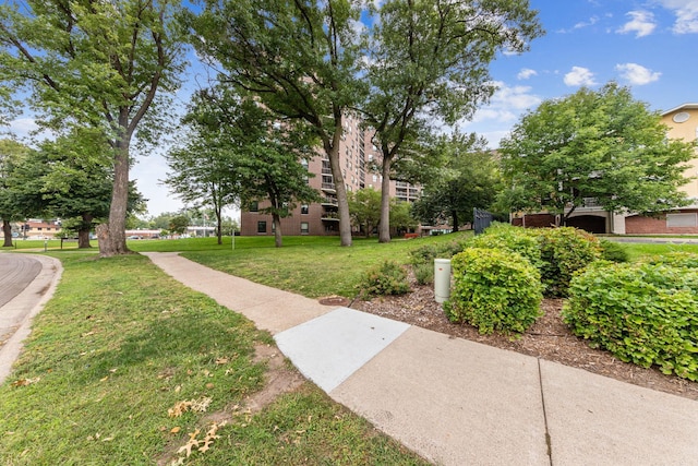 view of property's community with a lawn