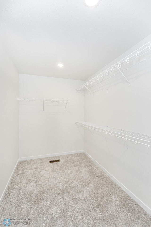 spacious closet with carpet floors