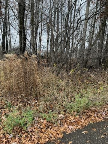 XXXX 242nd Ln NE, Linwood Twp MN, 55079 land for sale