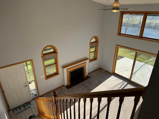 carpeted living room with plenty of natural light, ceiling fan, and a high ceiling