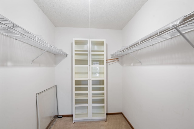 walk in closet with light colored carpet