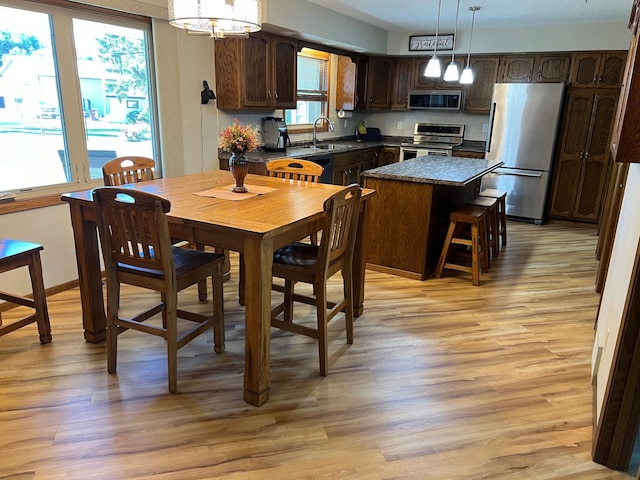 dining space featuring plenty of natural light, light hardwood / wood-style floors, and sink