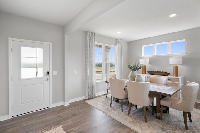 dining area with dark hardwood / wood-style floors and a wealth of natural light