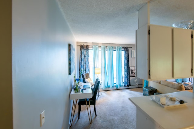 interior space with a textured ceiling and a baseboard radiator