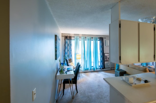 carpeted living room with a textured ceiling and a baseboard radiator