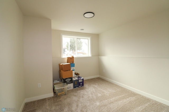 miscellaneous room featuring carpet floors