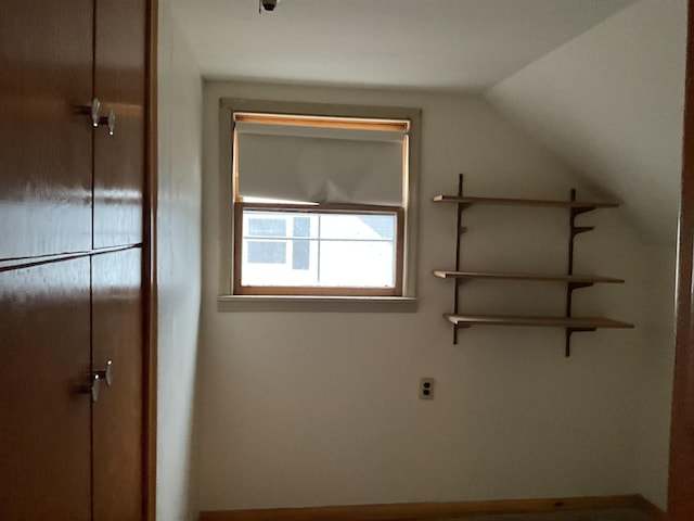 interior space featuring a closet and lofted ceiling