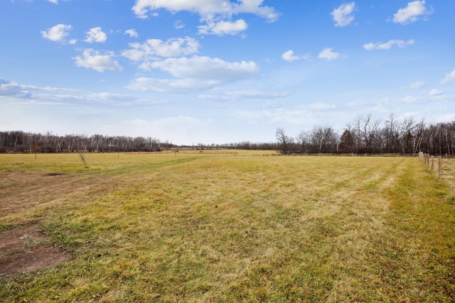 view of yard with a rural view