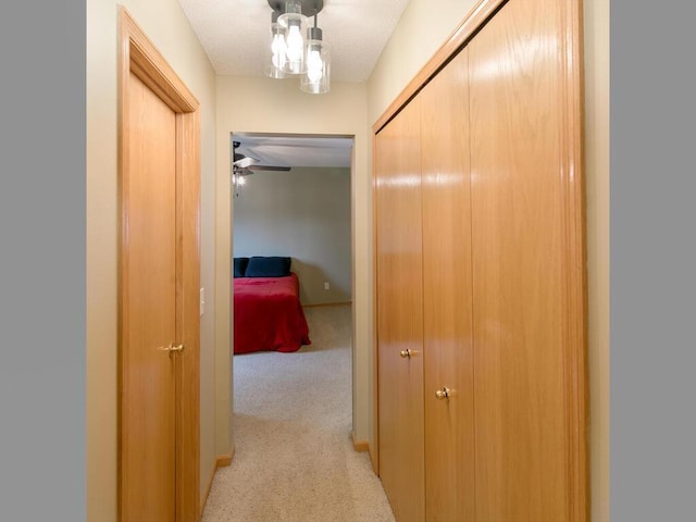 3781 Willowwood St SW, Prior Lake, MN 55372 - hall with light colored carpet