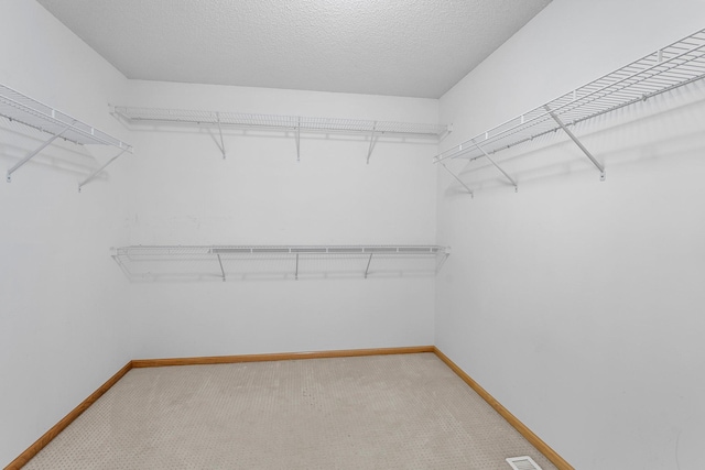 spacious closet with carpet floors