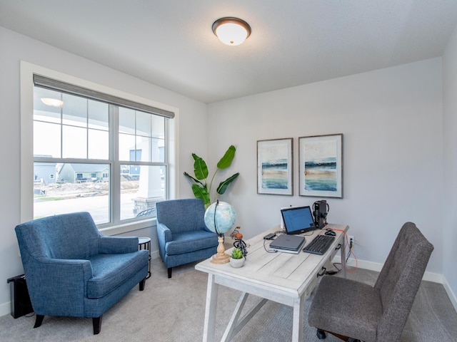 office featuring light colored carpet