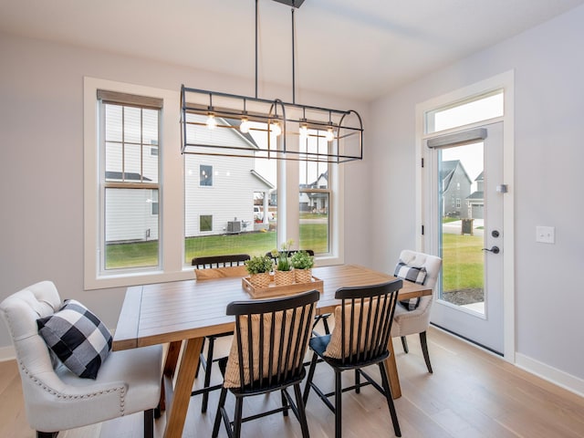 dining space with light hardwood / wood-style flooring and a notable chandelier