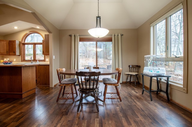 dining space featuring plenty of natural light, dark wood-type flooring, and vaulted ceiling