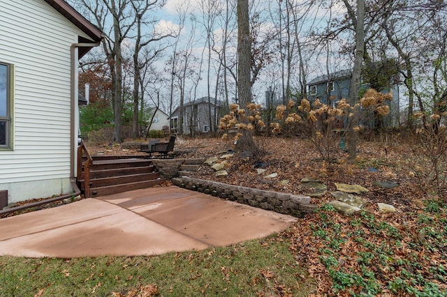 view of yard with a patio area