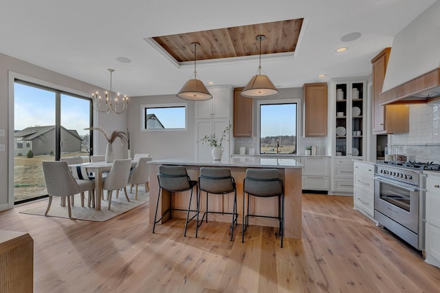 kitchen with high end stainless steel range oven, a tray ceiling, custom range hood, and a chandelier