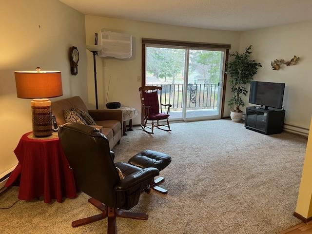 living room featuring carpet floors and a wall unit AC