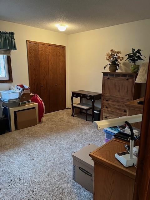 home office with carpet and a textured ceiling