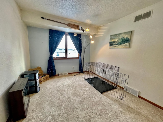 interior space featuring carpet and a textured ceiling