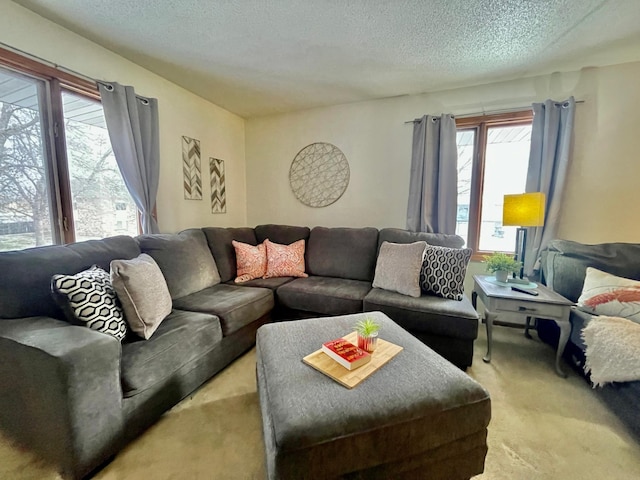 carpeted living room with a textured ceiling