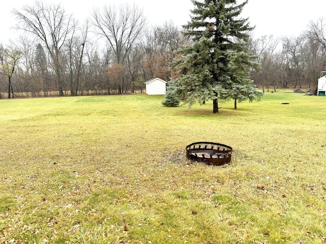 view of yard with a shed