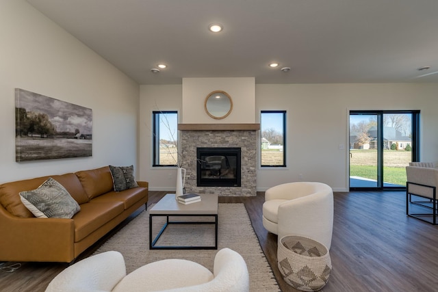 living room featuring a fireplace and hardwood / wood-style floors