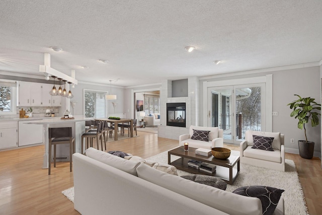 living room featuring crown molding, a fireplace, light hardwood / wood-style floors, and a notable chandelier