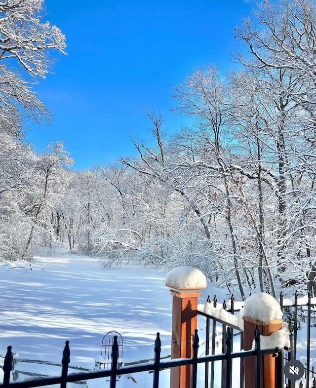 view of yard covered in snow