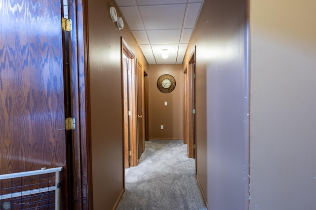 1215 18th St N, Moorhead, MN 56560 - hallway with carpet flooring and a paneled ceiling