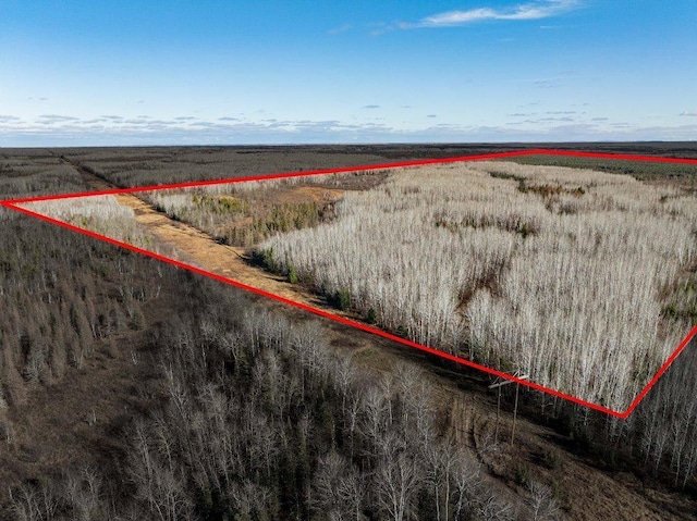 TBD County Rd 60, Grand Rapids MN, 55744 land for sale