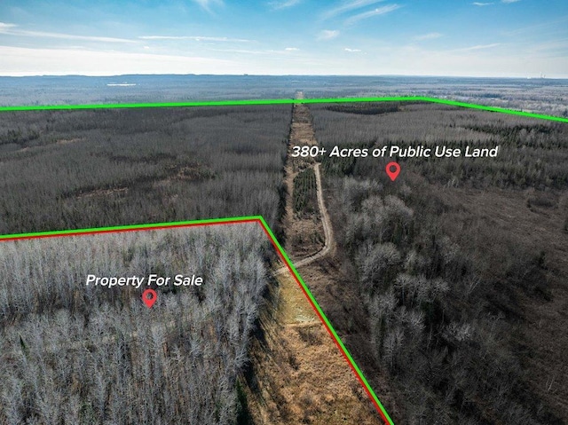 Listing photo 3 for TBD County Rd 60, Grand Rapids MN 55744