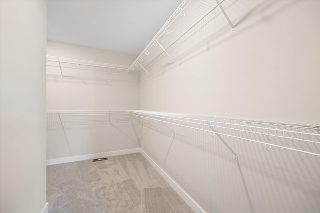 spacious closet featuring carpet flooring