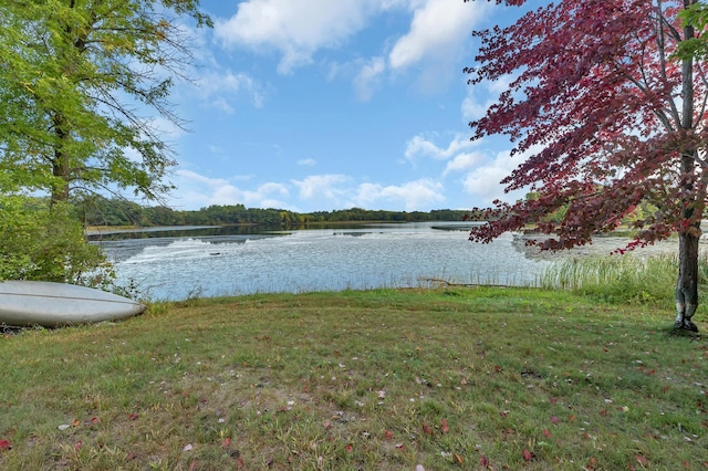 view of water feature