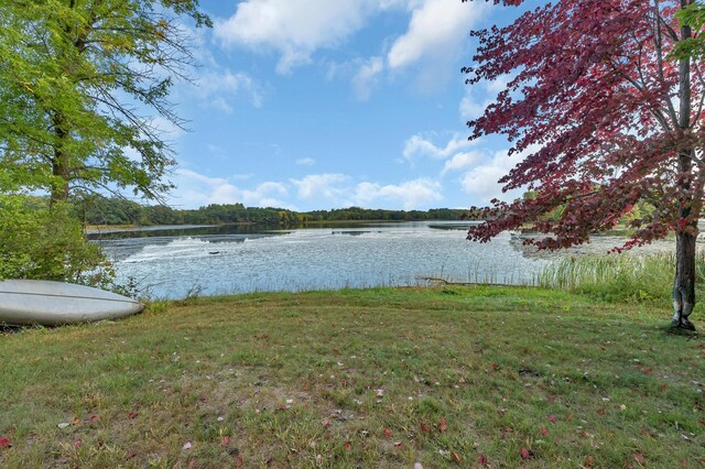 29313 Island Lake Rd, Collegeville Twp, MN 56374 - photo 12