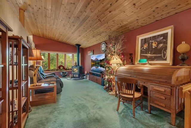 29313 Island Lake Rd, Collegeville Twp, MN 56374 - photo 23