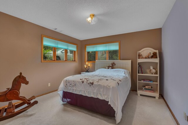 29313 Island Lake Rd, Collegeville Twp, MN 56374 - photo 29