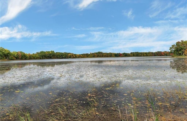 property view of water