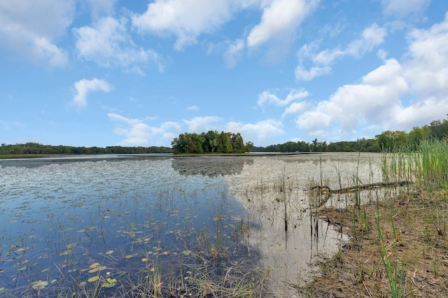 29313 Island Lake Rd, Collegeville Twp, MN 56374 - photo 46