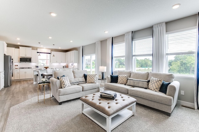 living room featuring a textured ceiling and light hardwood / wood-style flooring