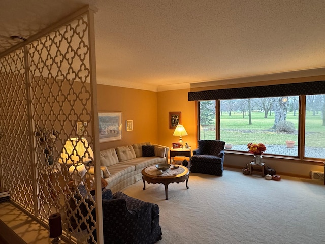 living room featuring carpet flooring and a textured ceiling