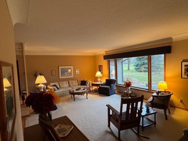 living room featuring crown molding, carpet floors, and a textured ceiling