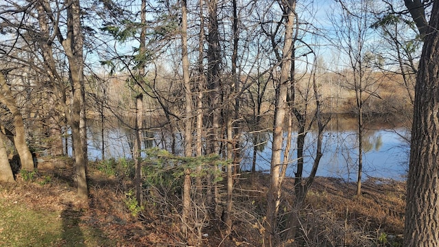 property view of water featuring a wooded view