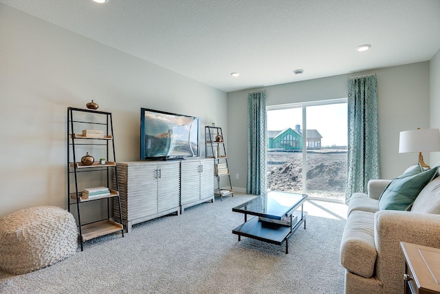 living room with carpet flooring and a textured ceiling