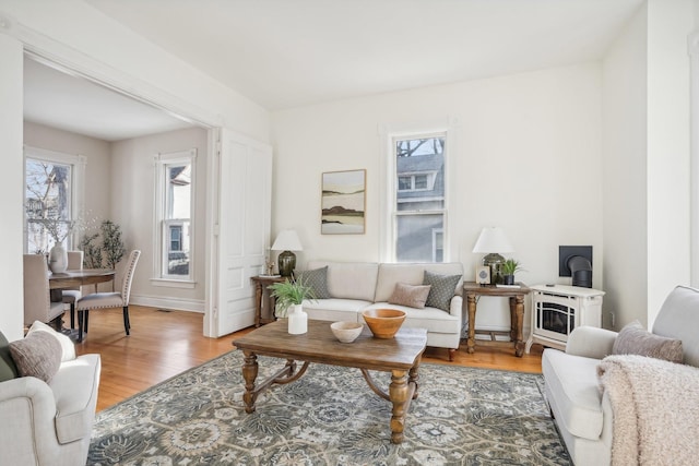 living room featuring hardwood / wood-style flooring