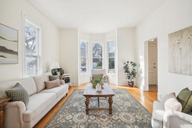 living room with light hardwood / wood-style floors